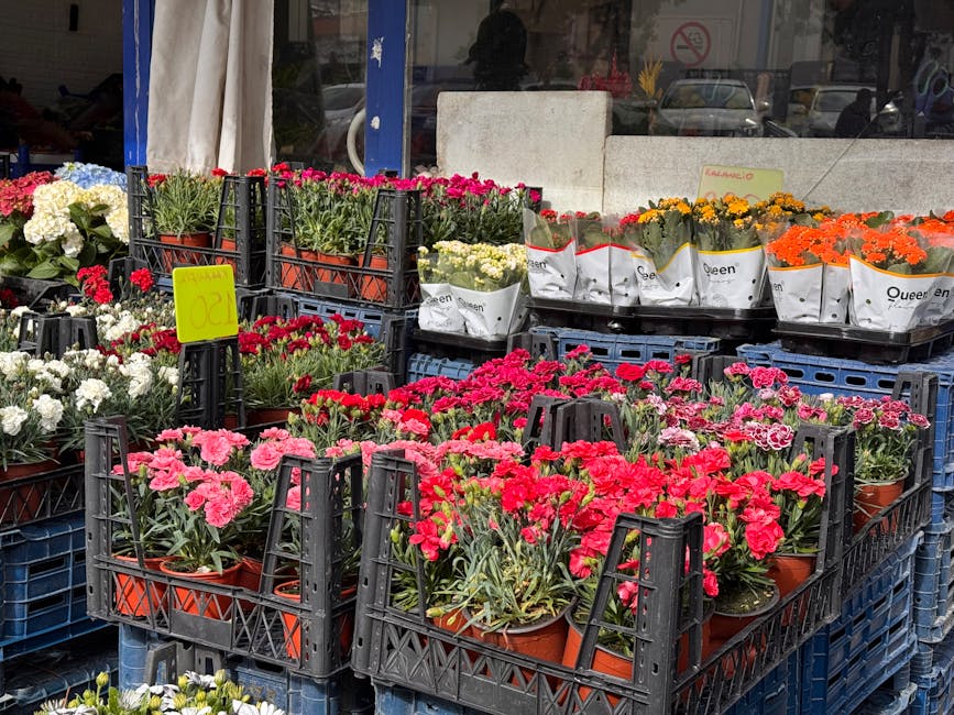 Outdoor display of potted carnations with pink, red, white, yellow, and orange blooms arranged in black crates and white paper packaging, set on a city sidewalk in front of a florist shop with large g